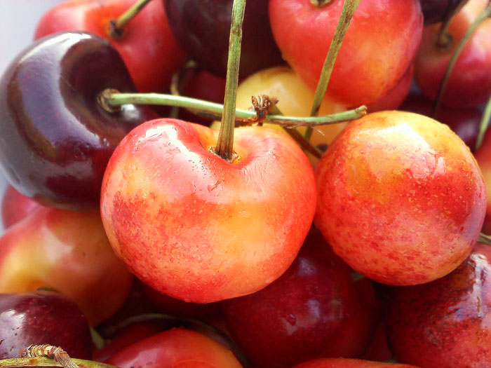 Camera phone picture, Glendale, CA