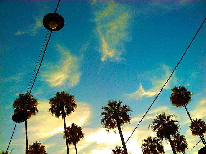 Camera phone picture, Glendale, CA