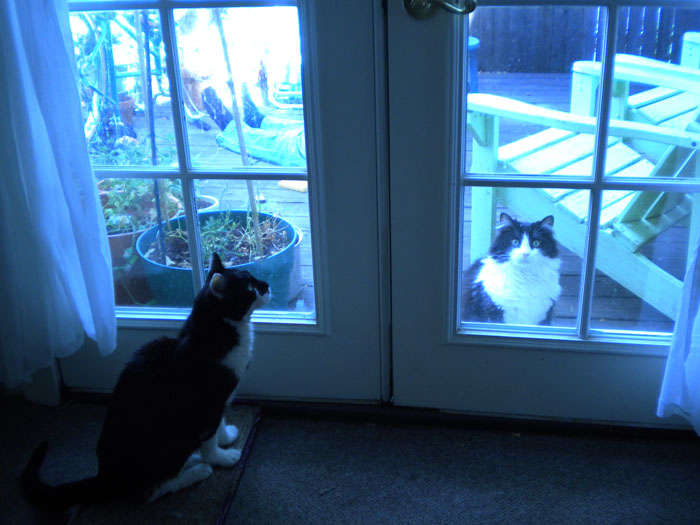 The one that's out wants to come in.