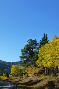 St. Charles Campground, Lake Isabel, CO – Oink